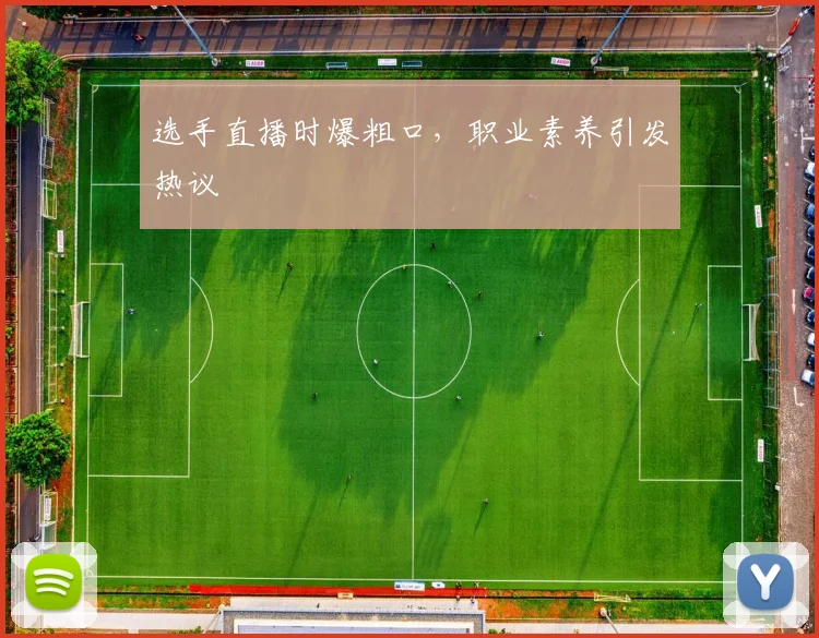 选手直播时爆粗口，职业素养引发热议