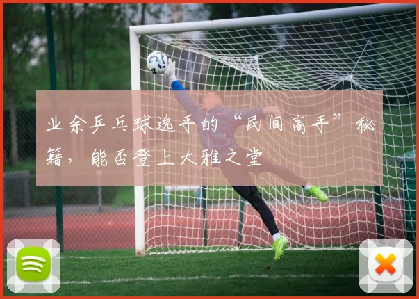 业余乒乓球选手的“民间高手”秘籍，能否登上大雅之堂